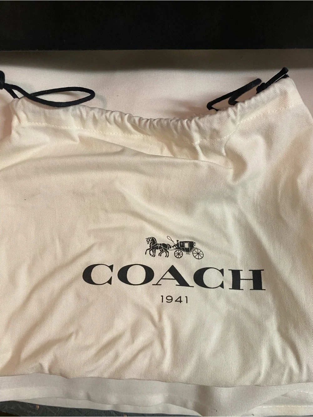 Small Coach Dust Bag